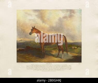 The Gosden Head, After Edward Troye, (American, 1808–1874), Trifle, Da Venti stampe Colorate A Mano dopo Dipinti Originali di Famosi Thoroughbreds americani di Edward Troye (1808–1874), 1932, Mezzotint su carta, immagine: 12 1/16 x 14 7/8 in. (30,7 x 37,8 cm Foto Stock