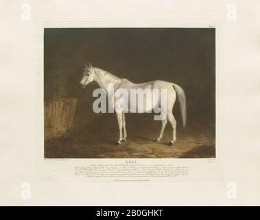 La testa di Gosden, Dopo Edward Troye, (americano, 1808–1874), bobina, Da Venti stampe Colorate A Mano dopo Dipinti Originali di Famosi Thoroughbreds americani di Edward Troye (1808–1874), 1932, Mezzotint su carta, immagine: 11 5/16 x 14 15/16 in. (28,8 x 38 cm Foto Stock