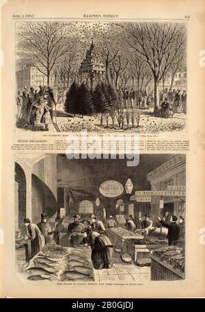 Stanley Fox, American, 19th secolo, The Sparrows' Home, Union Square, New York City, and, Fish Stands in Fulton Market, New York, From Harper's Weekly, 1869, Wood incisione su carta, immagine: 14 x 9 1/16 in. (35,5 x 23 cm Foto Stock