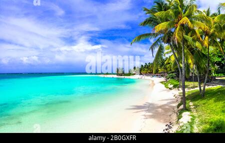 Perfetto scenario di spiaggia tropicale - isola di Mauritius, Belle Mare Foto Stock