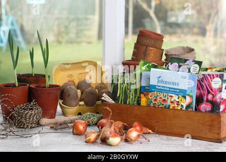 Set di scalogno, piante di aglio giovani, patate da semina chitting e pacchetti di semi in una stanza giardino davanzale guardando al giardino. REGNO UNITO Foto Stock