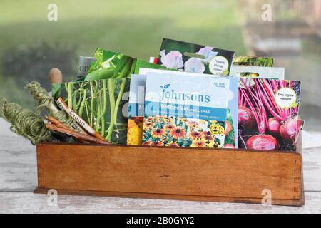 Confezioni di verdure e semi di fiori conservate in una scatola di legno. REGNO UNITO Foto Stock
