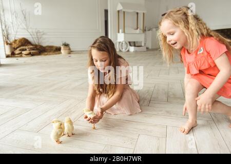 Ragazze che giocano con le anatre per Pasqua Foto Stock