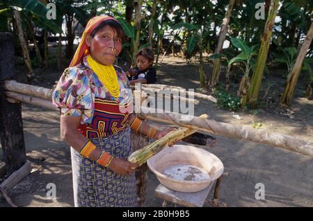 PANAMA, ISOLE SAN BLAS, ISOLA DI ACUATUPU, KUNA DONNA INDIANA CHE ESTRAE SUCCO DALLA CANNA DA ZUCCHERO S.AM. Foto Stock