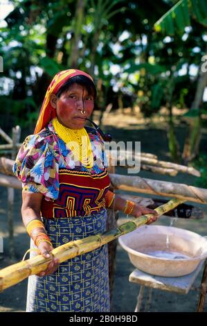 PANAMA, ISOLE SAN BLAS, ISOLA DI ACUATUPU, KUNA DONNA INDIANA CHE ESTRAE SUCCO DALLA CANNA DA ZUCCHERO Foto Stock