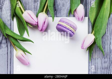 Fiori rosa primavera tulipani, macaron viola e foglio bianco su sfondo grigio di legno. Vista dall'alto, spazio di copia Foto Stock