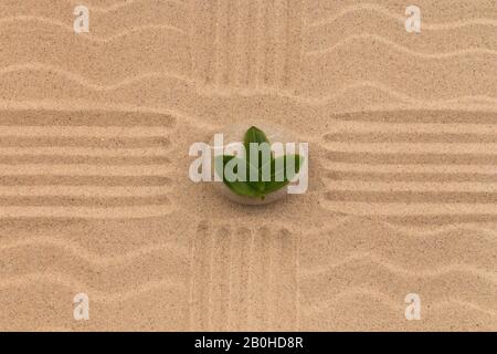 Le foglie giacciono su una pietra che si trova al centro di una croce di linee. Vista dall'alto Foto Stock