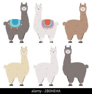 set vettoriale di diversi lama Illustrazione Vettoriale