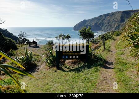 Vista panoramica della selvaggia West Coast di Auckland dall'inizio della Walkway di te Henga, un sentiero da punto a punto tra Bethells e Muriwai Foto Stock