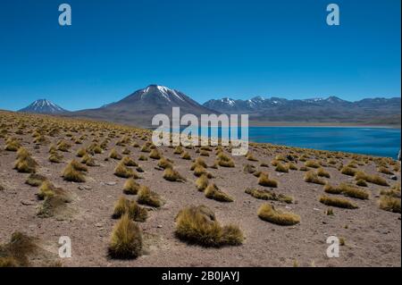 Vista del vulcano Miscanti 5640 m (18.504 piedi) e della laguna di Miscanti nella Riserva Nazionale di Los Flamencos vicino a San Pedro de Atacama nel deserto di Atacama Foto Stock