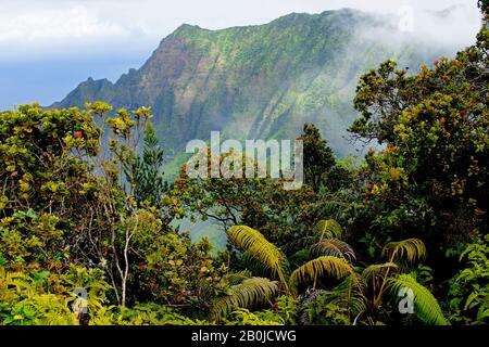 Vista pomeridiana della Kalalau Valley, della Na Pali Coast, di Kauai, Hawaii, USA Foto Stock