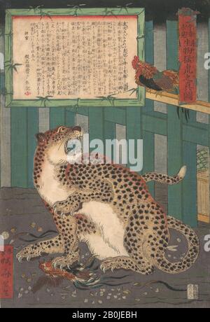 Kawanabe Kyōsai, Mai Visto Prima: Immagine reale di una tigre selvaggia dal vivo (Konjaku miken, Ikimono mōko no shinzu), Giappone, periodo Edo (1615–1868), Kawanabe Kyōsai (giapponese, 1831–1889), sesto mese 1860, Giappone, stampa di blocchi di legno policromo; inchiostro e colore su carta, immagine: 14 3/8 x 9 7/8 in. (36,5 x 25,1 cm), stampe Foto Stock