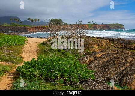 Vista sulla costa al Mahaulepu Heritage Trail, Kauai, Hawaii, USA Foto Stock