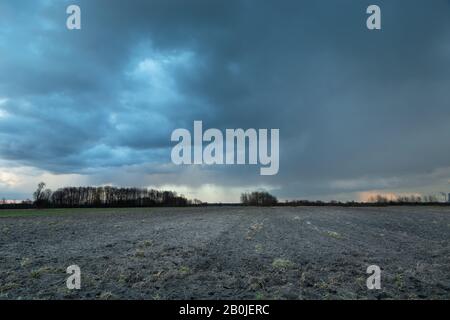 Campo arato, alberi all'orizzonte e cielo blu nuvoloso Foto Stock