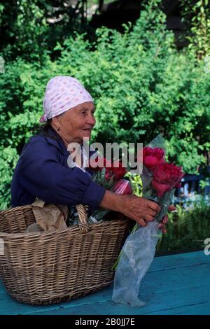 RUSSIA, VICINO A YAROSLAVL, STAZIONE DI DANILOV, DONNA CHE VENDE PEONIE Foto Stock