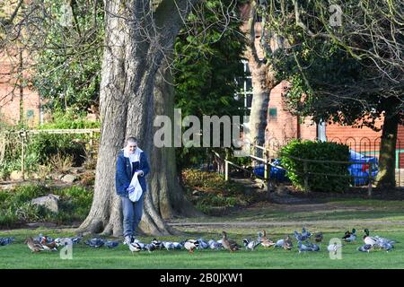 donna che alimenta piccioni in un parco Foto Stock