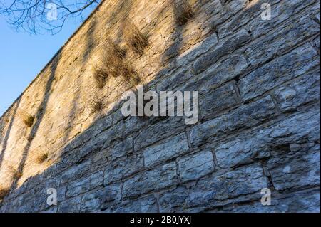 Frammento del muro della fortezza del 16th secolo. Tallinn, Estonia Foto Stock