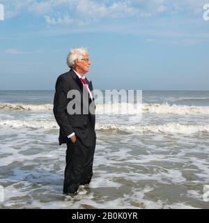 Uomo d'affari in abito formale soddisfatto in piedi nel mare Foto Stock