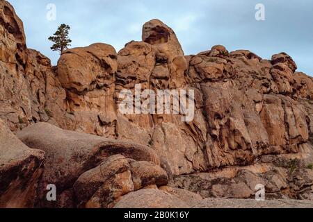 Una serie di insolite rocce rosse con un albero di pino che cresce in cima. Montagne del Kent. Kazakistan Foto Stock