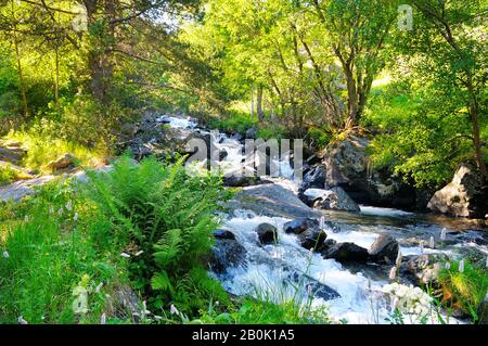 Paesaggio con montagne, foreste e un fiume di fronte. Uno splendido scenario Foto Stock