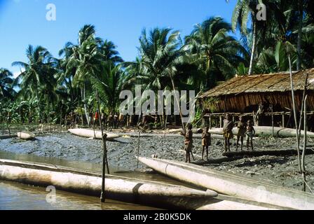 WEST NEW GUINEA, (IRIAN JAYA, INDONESIA), REGIONE ASMAT, VILLAGGIO TRIBALE NELLA FORESTA PLUVIALE Foto Stock