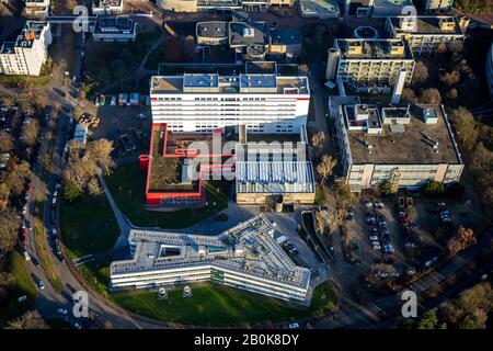 Fotografia aerea, Università Heinrich-Heine Düsseldorf, centro per la sintesi delle scienze della vita, il cromosoma X rappresentanza, Düsseldorf, Renania, Nord Foto Stock