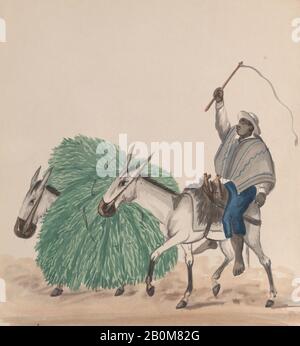 Attribuito a Francisco (Pancho) Fierro, un uomo che cavalcava un mulo, la sua frusta sollevata, un altro mulo carico di erba accanto, da un gruppo di disegni raffiguranti il costume peruviano, Attribuito a Francisco (Pancho) Fierro (Peruviano africano, 1807–1879), ca. 1848, acquerello, foglio: 9 1/16 × 8 1/16 in. (23 × 20,4 cm), Disegni Foto Stock