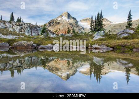 Prato alpino e montagne che si riflettono nel lago. Foto Stock