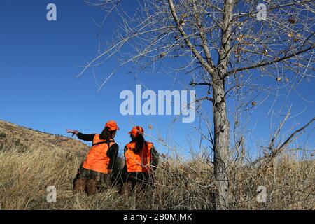 Due cacciatori donne cercano alci in un prato in Colorado Foto Stock