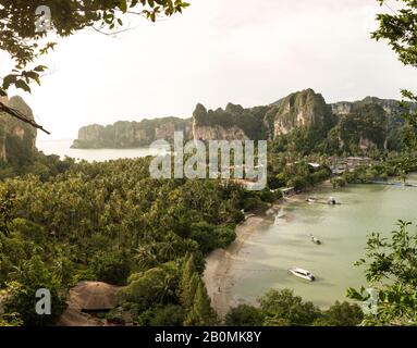 Vista ad alta angolazione della piantagione di palme a Railay Beach durante il tramonto Foto Stock