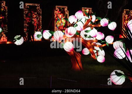 Charleston, SC - 2 febbraio 2020: Lanterna di ispirazione cinese al Magnolia Plantation Festival of Lights Foto Stock