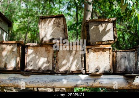 Alveari a Trinidad, Cuba Foto Stock
