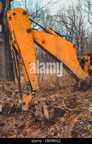 Un escavatore giallo lavora sulla radura di foresta e scava suolo. Foto Stock