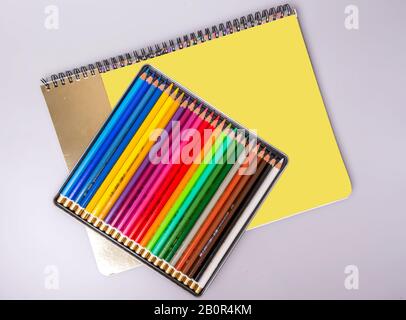 Una scatola con matite multicolore affilate si trova su uno sketchbook. Elementi per la creatività. Foto Stock