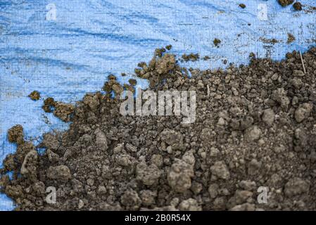 Terreno fertile loam adatto per piantare terreno di fondo per il concetto di giardinaggio , fuoco selettivo Foto Stock