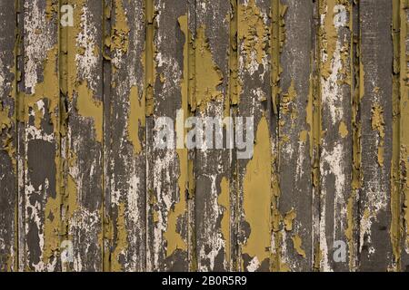 Texture di un vecchio garage che perde la vernice gialla e verde Foto Stock