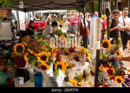 Fiori in vendita su un mercato locale, Fayetteville, Arkansas, Stati Uniti Foto Stock