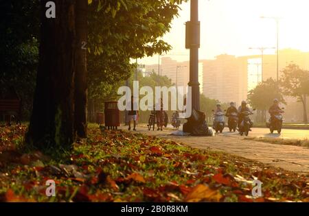 HO chi MINH CITTÀ, VIET NAM, splendida scena al mattino presto nel parco, con foglie da caduta di alberi su campo di erba, persone che si spostano sulla strada alla luce del sole Foto Stock