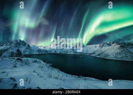Picco Segla sull'isola di Senja con Aurora Borealis, aurora boreale in inverno in Norvegia