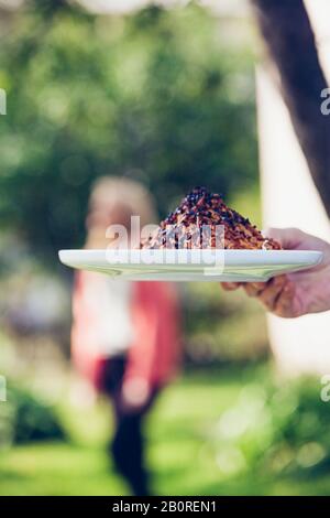 l'uomo che tiene una torta dolce fatta in casa nelle sue mani sul piatto Foto Stock