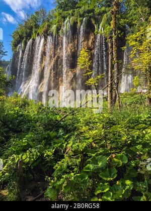 Diverse cascate di uno dei luoghi più sorprendenti del mondo ai laghi di Plitvice, Croazia. Un pezzo di natura veramente vergine e meravigliosa. Foto Stock