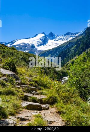 Sentiero escursionistico con vista sul Reichenspitze, Wildgerlostal, Krimml, Pinzgau, Salzburg County, Austria Foto Stock