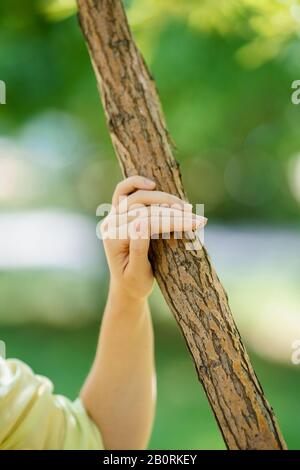 Un closeup della mano della donna coperto da camicia gialla, che tiene il tronco di albero marrone sottile davanti a sfondo verde sfocato Foto Stock