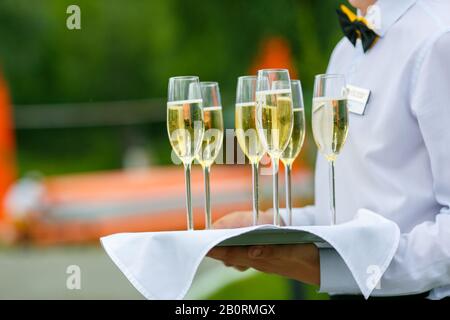 Un cameriere in camicia bianca serve qualche bicchiere di champagne sul vassoio con tovagliolo bianco Foto Stock