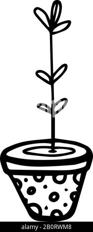 Giovani pianta in stile doodle disegnato a mano isolato su sfondo bianco. Illustrazione dello stock del contorno del vettore. Illustrazione Vettoriale