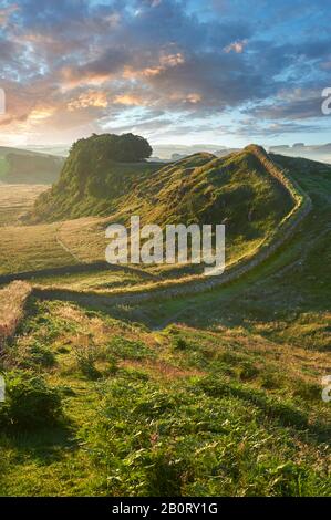 Parete di Adriano vicino Houseteads Roman Fort, Vercovicium, un sito Patrimonio Mondiale dell'UNESCO, Northumberland, England, Regno Unito Foto Stock