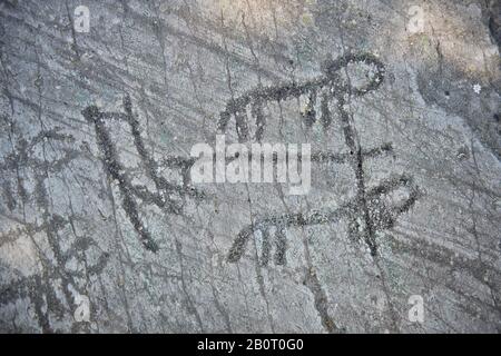 Petroglyph, scultura schematica in roccia, di aratura utilizzando 2 animali e figure schematiche che tengono un aratro verticale che si curva in avanti in fondo int Foto Stock