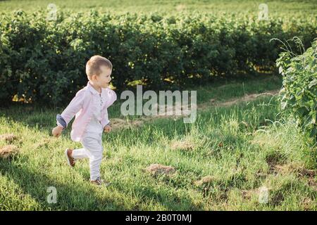 Happy little boy in esecuzione sul campo Foto Stock