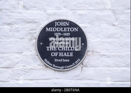 John Middleton - Hale Giant Foto Stock