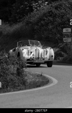 Pesaro COLLE SAN BARTOLO , ITALIA - 17 MAGGIO 2018 : JAGUAR XK 140 OTS 1955 su una vecchia auto da corsa in rally Mille miglia 2018 la famosa storica italiana Foto Stock